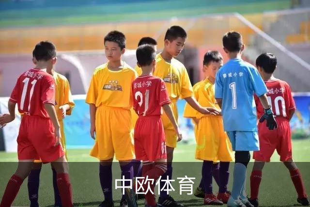 中欧体育公司环境