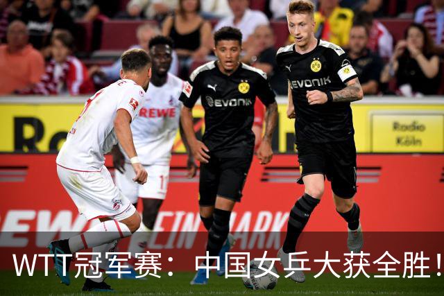 WTT冠军赛：中国女乒大获全胜！16强占6个席位，陈幸同剃对手光头
